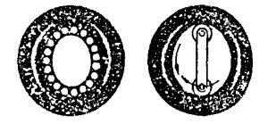 Harmonic gear drive