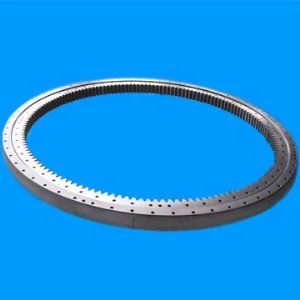 Specialist OEM Producent til Light Load Slewing med flange